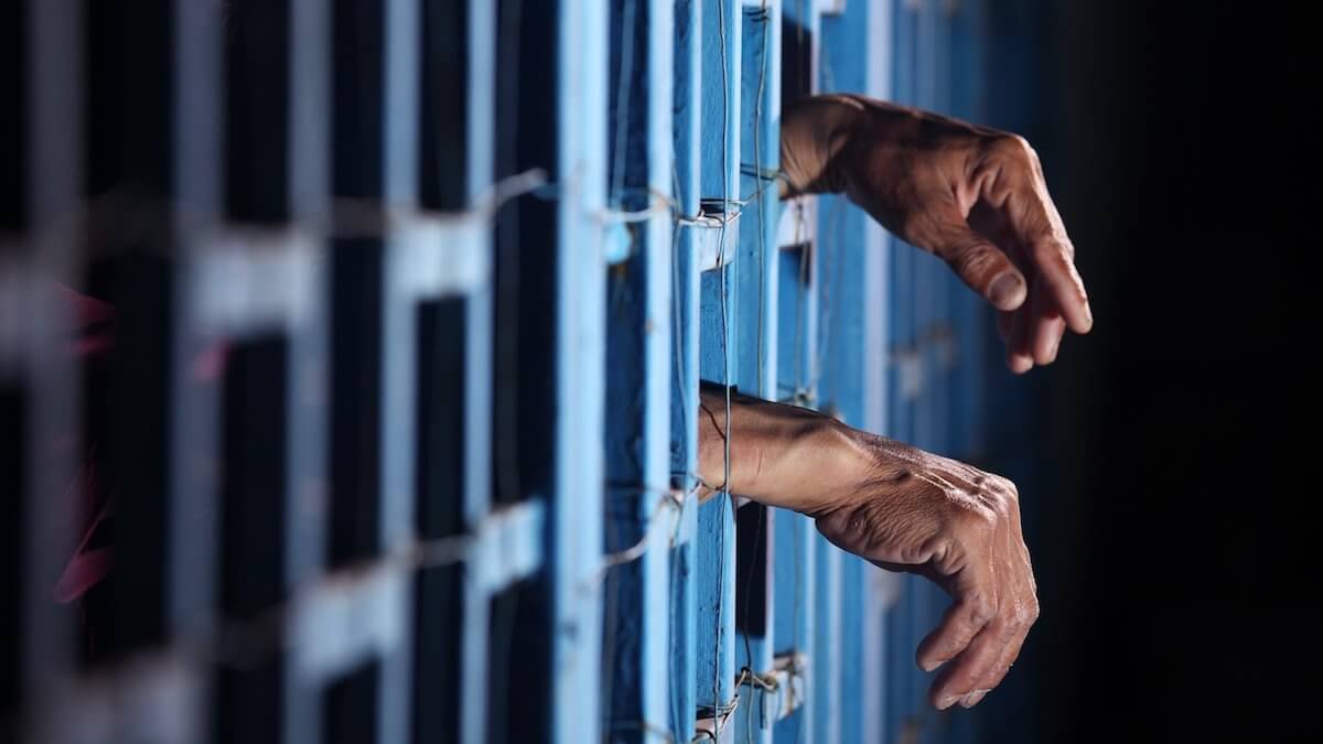 Слабоумие и честность: журналисты узнали число налогоплательщиков с биткоина в США.. Фото.