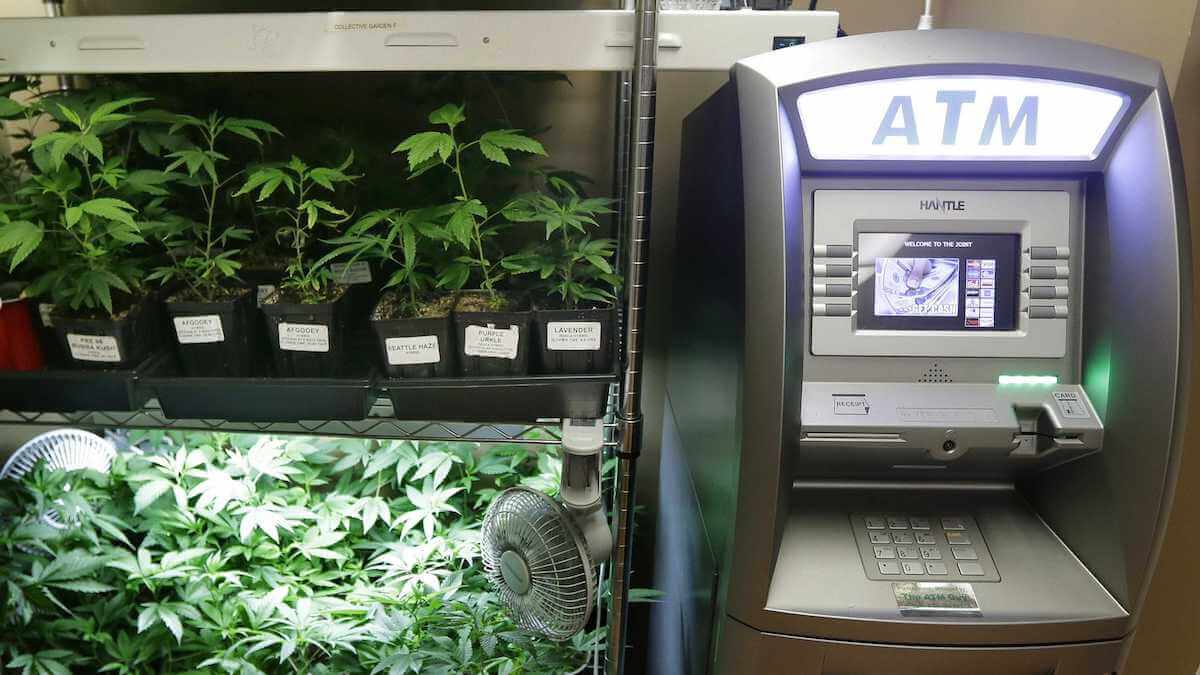 Какие монетки покупать, чтобы показаться смешным.. PotCoin.. Фото.