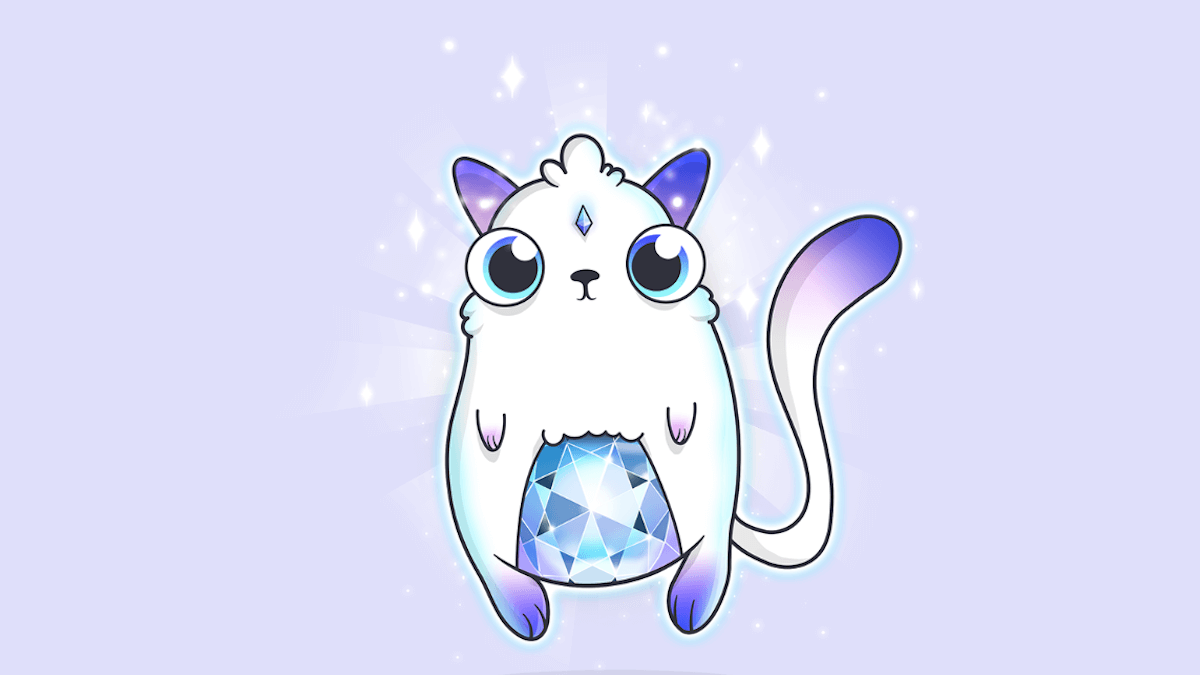 Мир сошёл с ума: на котиков из CryptoKitties потратили 12 миллионов долларов.. Фото.