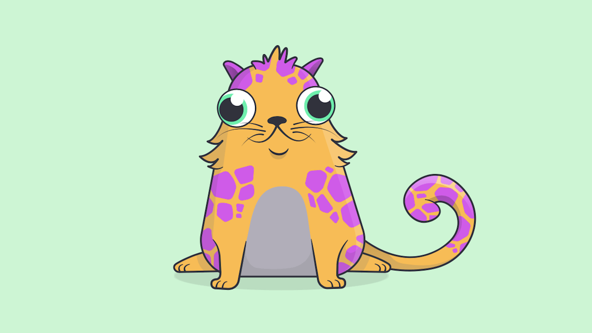Мир сошёл с ума: на котиков из CryptoKitties потратили 12 миллионов долларов.. Фото.
