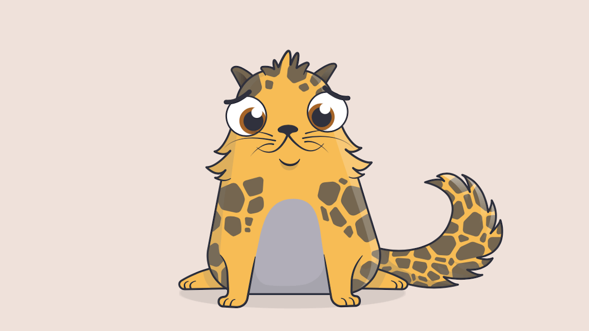 Мир сошёл с ума: на котиков из CryptoKitties потратили 12 миллионов долларов.. Фото.