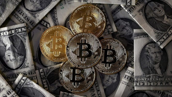 Флорида разрешит платить налоги в Биткоине и Bitcoin Cash. Фото.