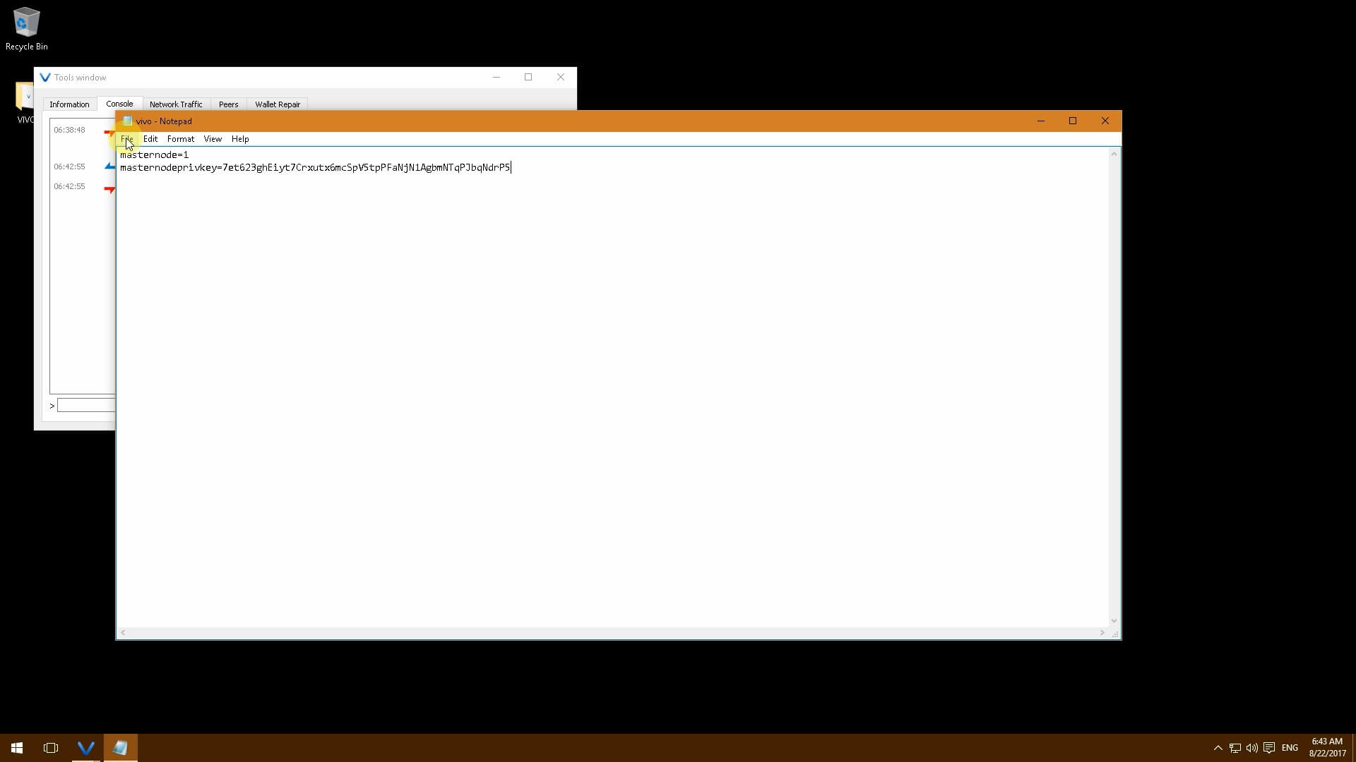 VIVO. Характеристики монеты, настройка мастерноды на Windows и её прибыльность.. Шаг пятый.. Фото.