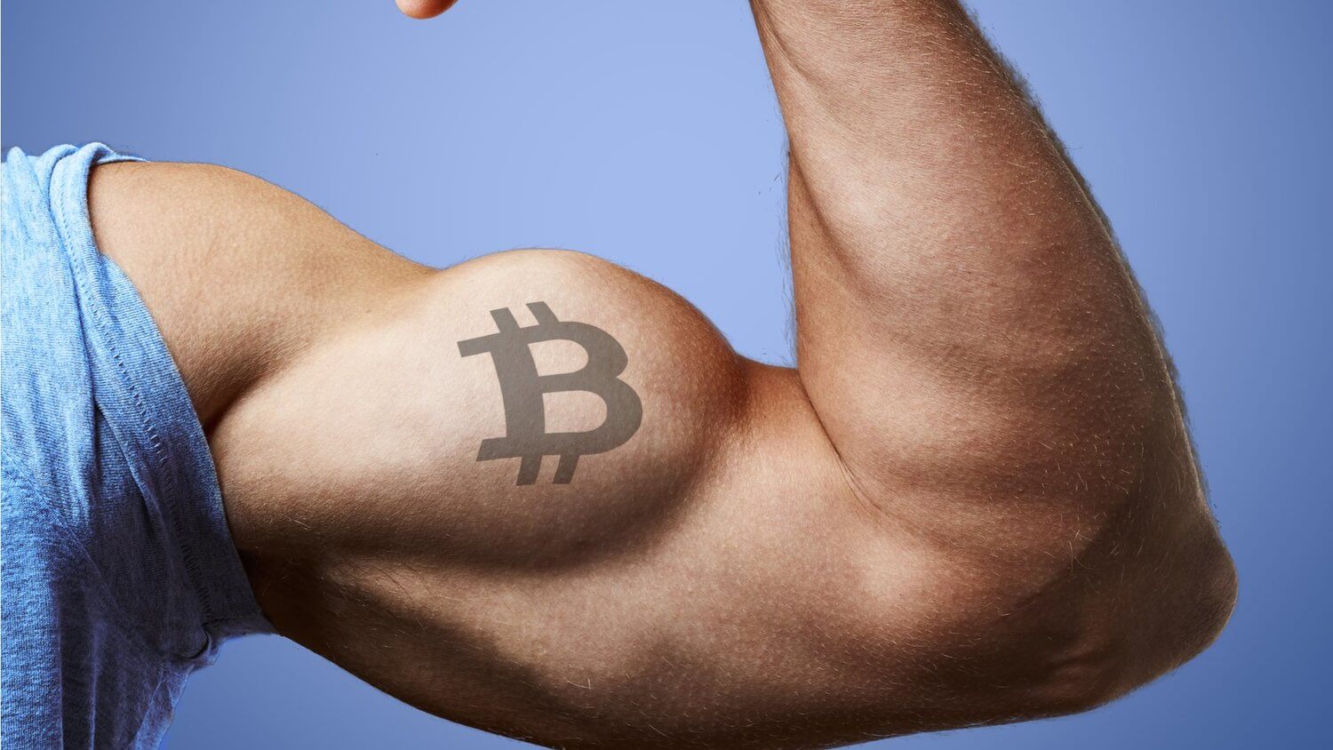 Биткоин — лучшая криптовалюта. Источник иллюстрации — Bitcoinist. Фото.