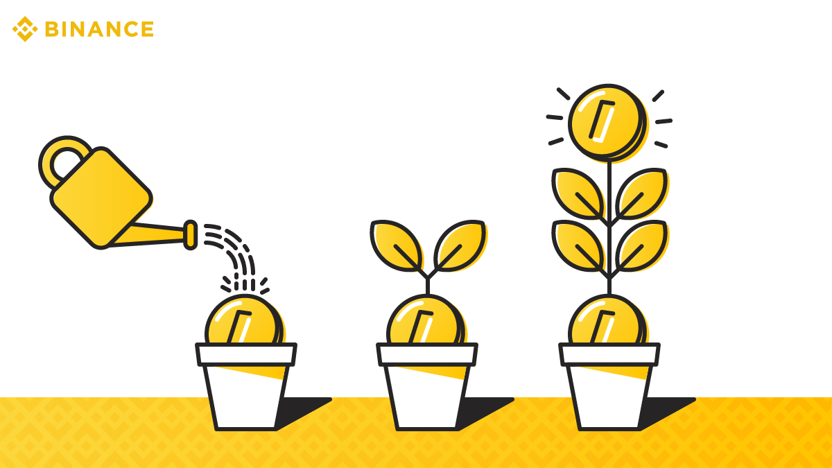 Источник: Medium. Фото.