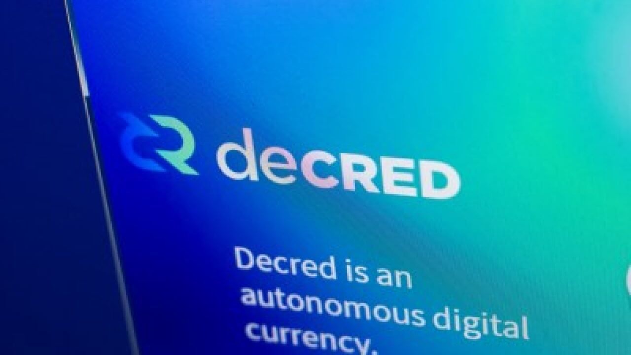 Источник: Novator.io. Фото.