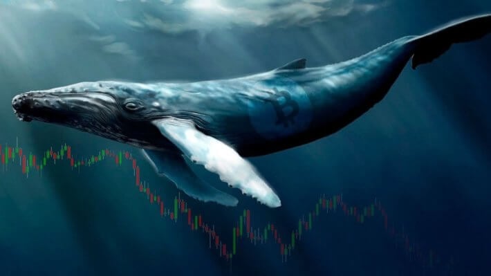киты Биткоин блокчейн