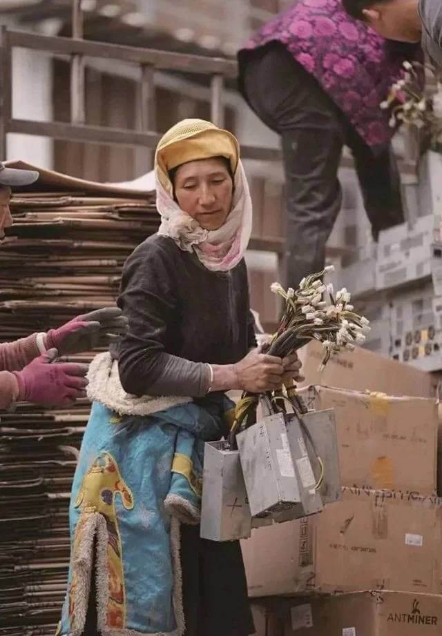 Что произошло с майнерами Биткоина? Китайский киберпанк — в руках у сельской женщины не цветы, а старые ASIC-майнеры. Пытаясь хоть как-то покрыть убытки, местные компании продают свое оборудование на запчасти. Фото.