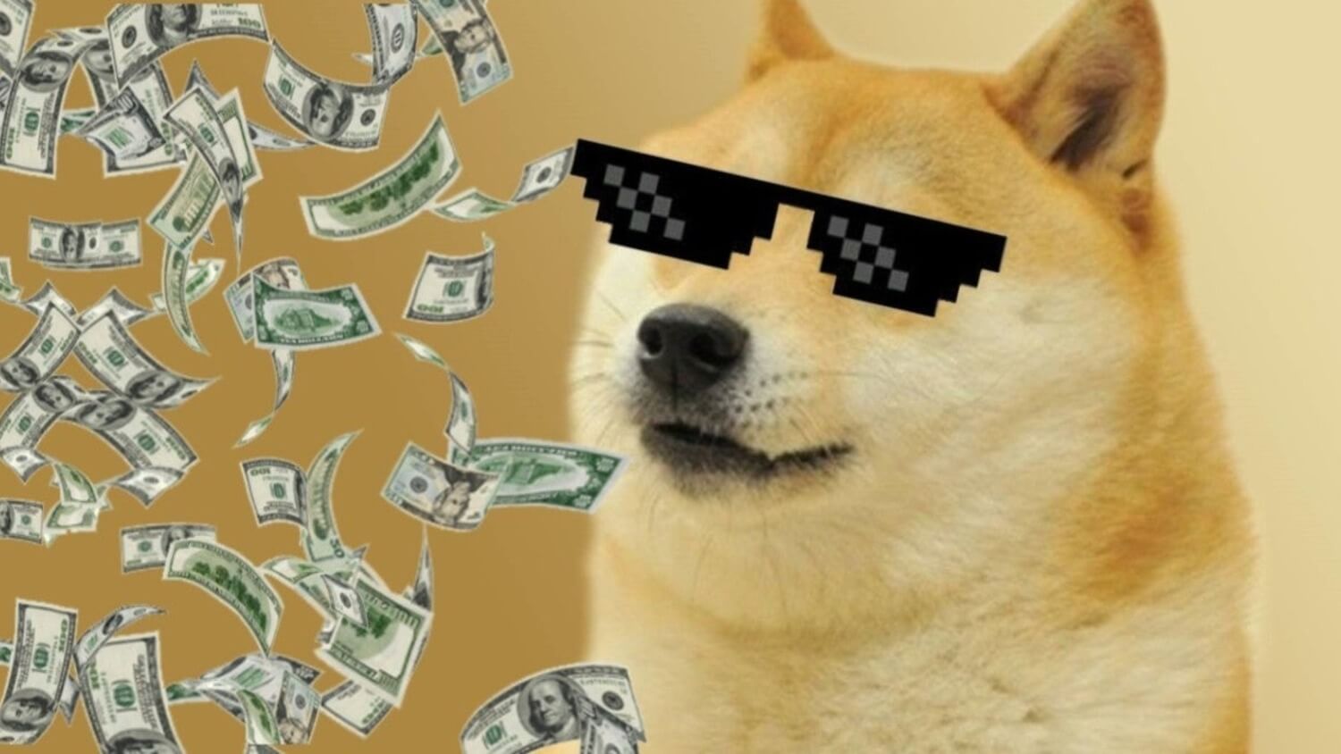 Темпы создания новых криптовалют упали до минимума за три года. О чём это говорит? Мем с участием криптовалюты Dogecoin. Фото.