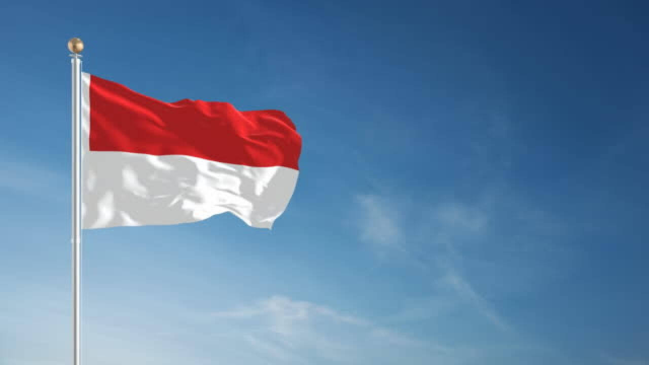 Индонезия флаг страна