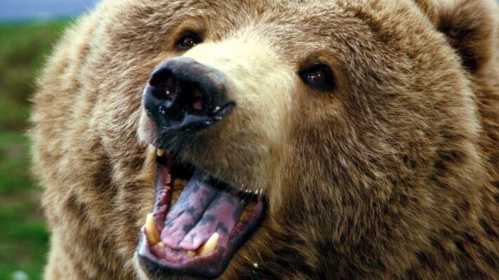Аналитики заявили об окончательном переходе Биткоина к медвежьему тренду. Почему? Фото.