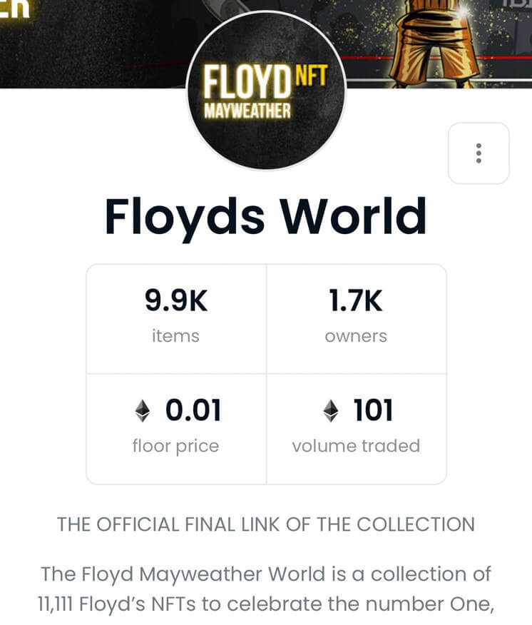 Создатель NFT-коллекции объявил о закрытии проекта. В ответ его обвинили в мошенничестве. Коллекция Floyds World от Флойда Мейвезера. Фото.