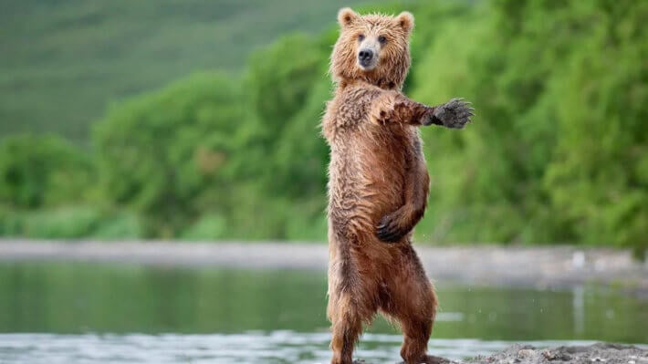 Эксперты рассказали, как медвежий тренд в состоянии помочь рынку криптовалют. Фото.