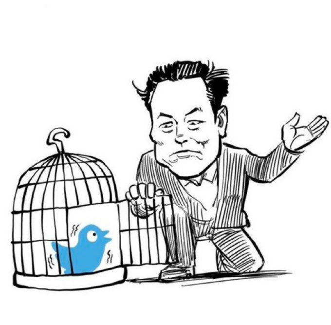 Что будет с социальной платформой Твиттер? «The bird is freed». Фото.