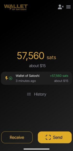 Кошелёк Wallet of Satoshi. Проведённая транзакция в Wallet of Satoshi. Фото.