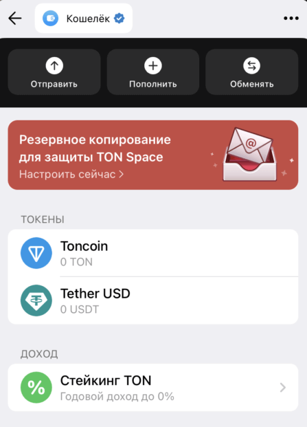 Что такое TON Space в Телеграме и как его использовать. Интерфейс TON Space в кошельке Wallet в Телеграм. Фото.