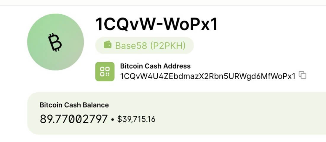 Состояние основателя Silk Road Росса Ульбрихта. Кошелёк в сети Bitcoin Cash, который принадлежит создателю Silk Road Россу Ульбрихту. Фото.