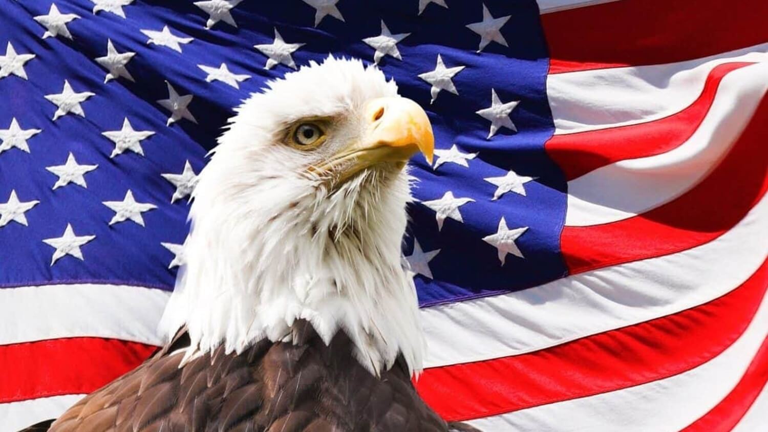 Project Crypto: как США на самом деле пытаются стать мировым лидером в сфере криптовалют и блокчейна?