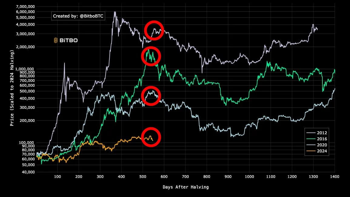 Сколько ещё будет расти Биткоин? Циклы BTC в пересчёте на дни после халвинга. Фото.