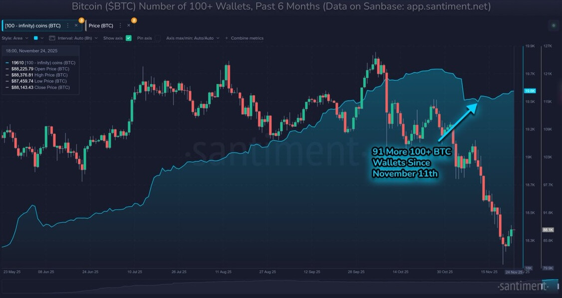 Что будет с курсом Биткоина дальше. Накопление биткоинов владельцами кошельков, на которых есть как минимум 100 монет. Что будет с курсом Биткоина дальше. Накопление биткоинов владельцами кошельков, на которых есть как минимум 100 монет. Фото.