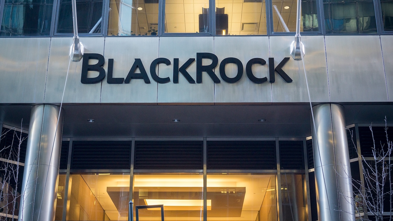 Руководитель BlackRock подтвердил, что неправильно воспринимал Биткоин раньше. Почему?