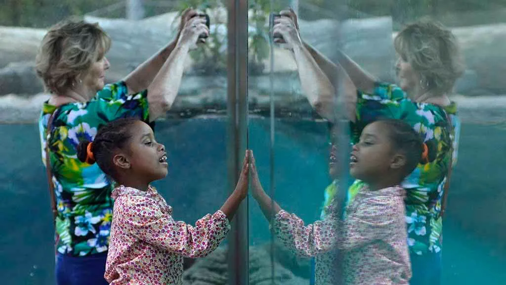 Перераспределение монет Сатоши на форке eCash вызвало волну критики