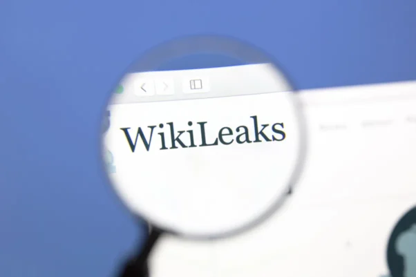 Организация WikiLeaks начала использовать Биткоин 15 лет назад: как это повлияло на крипторынок и благотворительность. Фото.